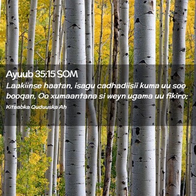 Picture 02 - Ayuub 35:15 SOM - Laakiinse haatan, isagu cadhadiisii kuma uu soo - Bible Verse Picture