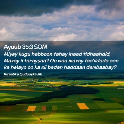 Picture 02 - Ayuub 35:3 SOM - Miyey kugu habboon tahay inaad tidhaahdid, Maxay - Bible Verse Picture