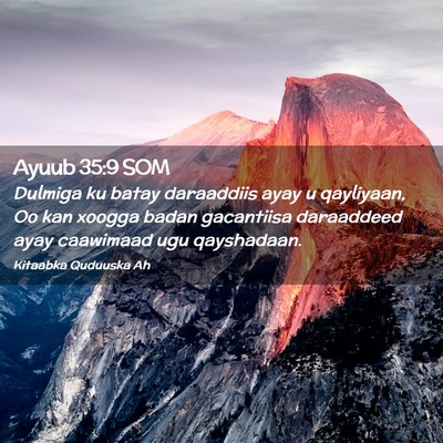 Picture 02 - Ayuub 35:9 SOM - Dulmiga ku batay daraaddiis ayay u qayliyaan, Oo - Bible Verse Picture