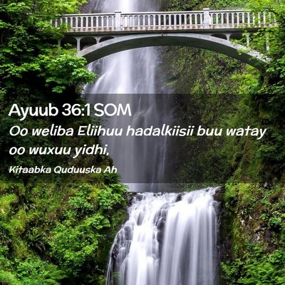 Picture 02 - Ayuub 36:1 SOM - Oo weliba Eliihuu hadalkiisii buu watay oo wuxuu - Bible Verse Picture