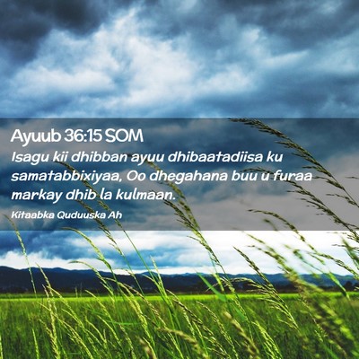 Picture 02 - Ayuub 36:15 SOM - Isagu kii dhibban ayuu dhibaatadiisa ku - Bible Verse Picture