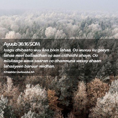Picture 02 - Ayuub 36:16 SOM - Isagu dhibaato wuu kaa bixin lahaa, Oo wuxuu ku - Bible Verse Picture
