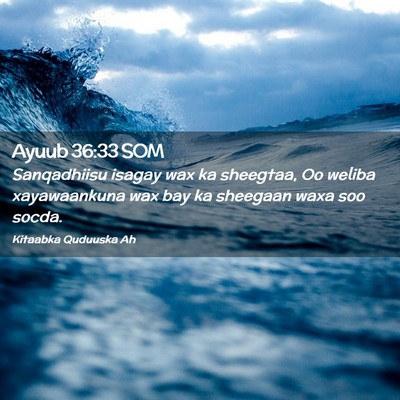 Picture 02 - Ayuub 36:33 SOM - Sanqadhiisu isagay wax ka sheegtaa, Oo weliba - Bible Verse Picture