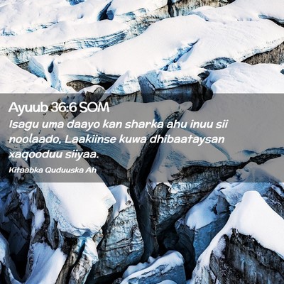 Picture 02 - Ayuub 36:6 SOM - Isagu uma daayo kan sharka ahu inuu sii noolaado, - Bible Verse Picture