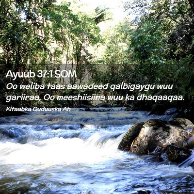 Picture 02 - Ayuub 37:1 SOM - Oo weliba taas aawadeed qalbigaygu wuu gariiraa, - Bible Verse Picture