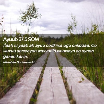 Picture 02 - Ayuub 37:5 SOM - Ilaah si yaab ah ayuu codkiisa ugu onkodaa, Oo - Bible Verse Picture