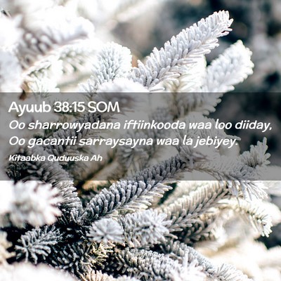 Picture 02 - Ayuub 38:15 SOM - Oo sharrowyadana iftiinkooda waa loo diiday, Oo - Bible Verse Picture