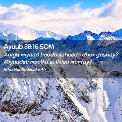 Picture 02 - Ayuub 38:16 SOM - Adigu miyaad badda ilaheeda dhex gashay? Miyaadse - Bible Verse Picture