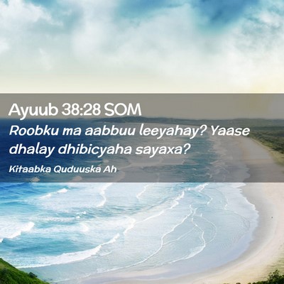 Picture 02 - Ayuub 38:28 SOM - Roobku ma aabbuu leeyahay? Yaase dhalay - Bible Verse Picture