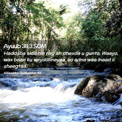 Picture 02 - Ayuub 38:3 SOM - Haddaba sida nin rag ah dhexda u gunto, Waayo, - Bible Verse Picture