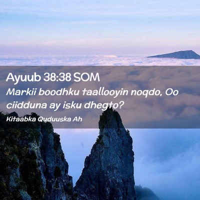 Picture 02 - Ayuub 38:38 SOM - Markii boodhku taallooyin noqdo, Oo ciidduna ay - Bible Verse Picture