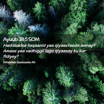 Picture 02 - Ayuub 38:5 SOM - Haddaadse taqaanid yaa qiyaasteeda amray? Amase - Bible Verse Picture