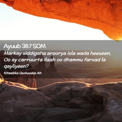 Picture 02 - Ayuub 38:7 SOM - Markay xiddigaha aroorya isla wada heeseen, Oo ay - Bible Verse Picture