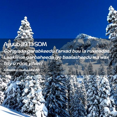 Picture 02 - Ayuub 39:13 SOM - Gorayada garabkeedu farxad buu la ruxmadaa, - Bible Verse Picture