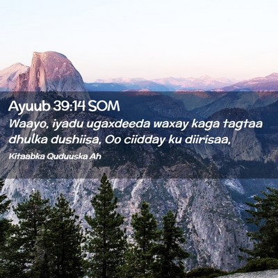 Picture 02 - Ayuub 39:14 SOM - Waayo, iyadu ugaxdeeda waxay kaga tagtaa dhulka - Bible Verse Picture
