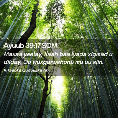 Picture 02 - Ayuub 39:17 SOM - Maxaa yeelay, Ilaah baa iyada xigmad u diiday, Oo - Bible Verse Picture