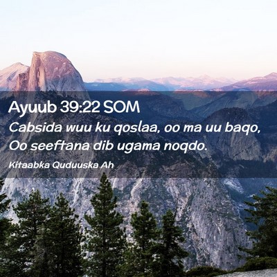 Picture 02 - Ayuub 39:22 SOM - Cabsida wuu ku qoslaa, oo ma uu baqo, Oo seeftana - Bible Verse Picture