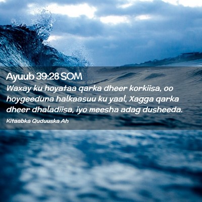 Picture 02 - Ayuub 39:28 SOM - Waxay ku hoyataa qarka dheer korkiisa, oo - Bible Verse Picture