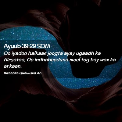 Picture 02 - Ayuub 39:29 SOM - Oo iyadoo halkaas joogta ayay ugaadh ka - Bible Verse Picture