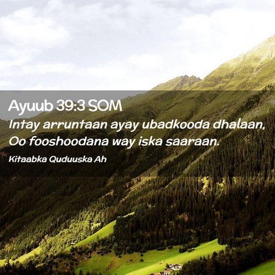 Picture 02 - Ayuub 39:3 SOM - Intay arruntaan ayay ubadkooda dhalaan, Oo - Bible Verse Picture