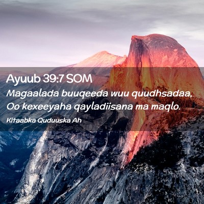 Picture 02 - Ayuub 39:7 SOM - Magaalada buuqeeda wuu quudhsadaa, Oo kexeeyaha - Bible Verse Picture