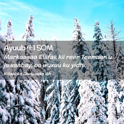Picture 02 - Ayuub 4:1 SOM - Markaasaa Eliifas kii reer Teemaan u jawaabay, oo - Bible Verse Picture