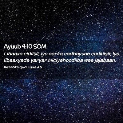 Picture 02 - Ayuub 4:10 SOM - Libaaxa cidiisii, iyo aarka cadhaysan codkiisii, - Bible Verse Picture