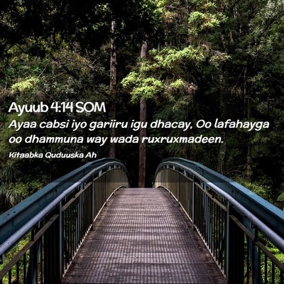 Picture 02 - Ayuub 4:14 SOM - Ayaa cabsi iyo gariiru igu dhacay, Oo lafahayga - Bible Verse Picture