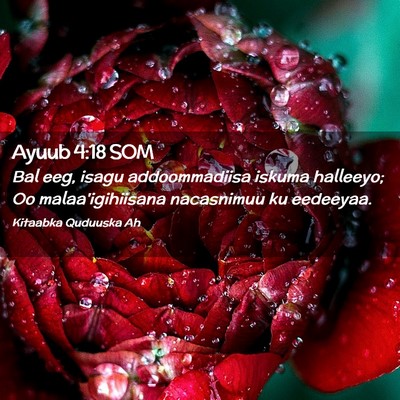 Picture 02 - Ayuub 4:18 SOM - Bal eeg, isagu addoommadiisa iskuma halleeyo; Oo - Bible Verse Picture
