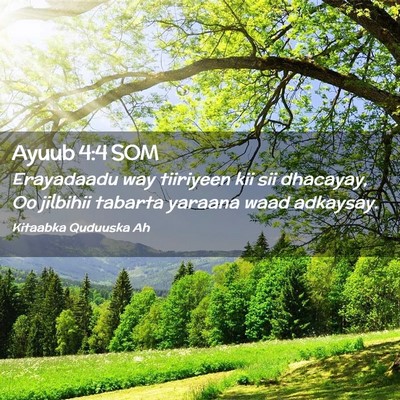 Picture 02 - Ayuub 4:4 SOM - Erayadaadu way tiiriyeen kii sii dhacayay, Oo - Bible Verse Picture