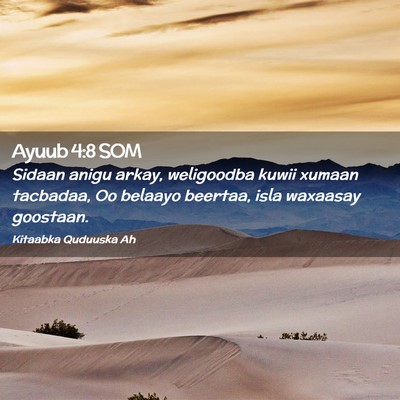 Picture 02 - Ayuub 4:8 SOM - Sidaan anigu arkay, weligoodba kuwii xumaan - Bible Verse Picture