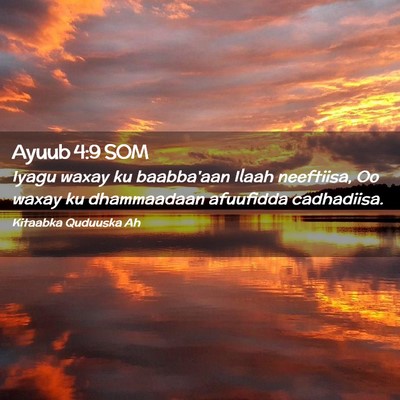 Picture 02 - Ayuub 4:9 SOM - Iyagu waxay ku baabba'aan Ilaah neeftiisa, Oo - Bible Verse Picture