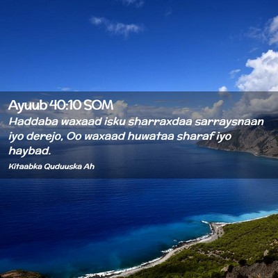 Picture 02 - Ayuub 40:10 SOM - Haddaba waxaad isku sharraxdaa sarraysnaan iyo - Bible Verse Picture