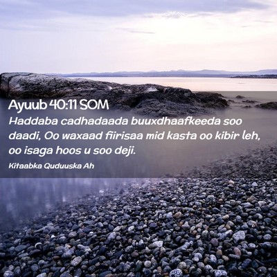 Picture 02 - Ayuub 40:11 SOM - Haddaba cadhadaada buuxdhaafkeeda soo daadi, Oo - Bible Verse Picture