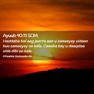 Picture 02 - Ayuub 40:15 SOM - Haddaba bal eeg jeerta aan u sameeyey sidaan kuu - Bible Verse Picture