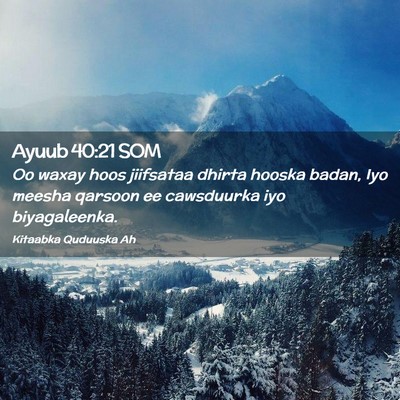 Picture 02 - Ayuub 40:21 SOM - Oo waxay hoos jiifsataa dhirta hooska badan, Iyo - Bible Verse Picture