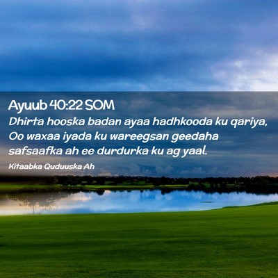 Picture 02 - Ayuub 40:22 SOM - Dhirta hooska badan ayaa hadhkooda ku qariya, Oo - Bible Verse Picture