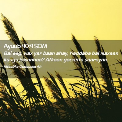 Picture 02 - Ayuub 40:4 SOM - Bal eeg, wax yar baan ahay, haddaba bal maxaan - Bible Verse Picture