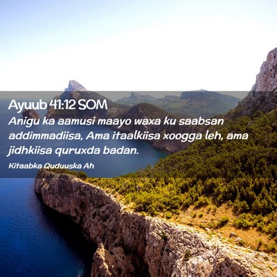Picture 02 - Ayuub 41:12 SOM - Anigu ka aamusi maayo waxa ku saabsan - Bible Verse Picture