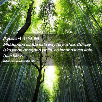 Picture 02 - Ayuub 41:17 SOM - Middoodba midda kale way haysataa, Oo way isku - Bible Verse Picture