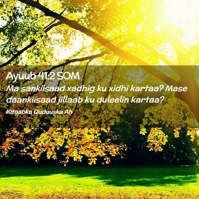 Picture 02 - Ayuub 41:2 SOM - Ma sankiisaad xadhig ku xidhi kartaa? Mase - Bible Verse Picture