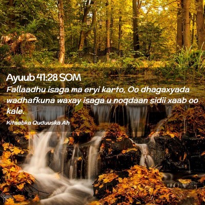 Picture 02 - Ayuub 41:28 SOM - Fallaadhu isaga ma eryi karto, Oo dhagaxyada - Bible Verse Picture