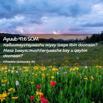 Picture 02 - Ayuub 41:6 SOM - Kalluumaystayaashu miyey isaga iibin doonaan? - Bible Verse Picture