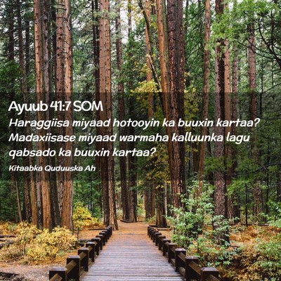 Picture 02 - Ayuub 41:7 SOM - Haraggiisa miyaad hotooyin ka buuxin kartaa? - Bible Verse Picture