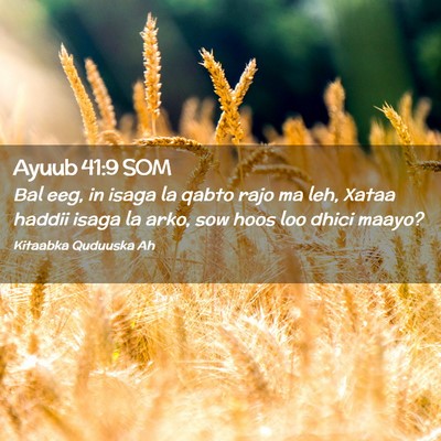 Picture 02 - Ayuub 41:9 SOM - Bal eeg, in isaga la qabto rajo ma leh, Xataa - Bible Verse Picture