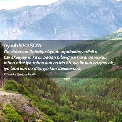 Picture 02 - Ayuub 42:12 SOM - Oo sidaasuu Rabbigu Ayuub ugudambaystiisii u - Bible Verse Picture