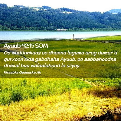 Picture 02 - Ayuub 42:15 SOM - Oo waddankaas oo dhanna laguma arag dumar u - Bible Verse Picture