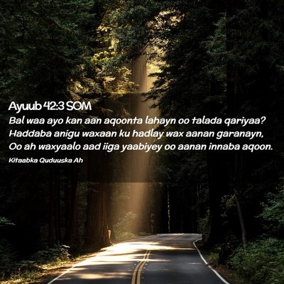 Picture 02 - Ayuub 42:3 SOM - Bal waa ayo kan aan aqoonta lahayn oo talada - Bible Verse Picture