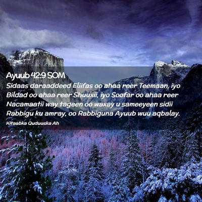 Picture 02 - Ayuub 42:9 SOM - Sidaas daraaddeed Eliifas oo ahaa reer Teemaan, - Bible Verse Picture