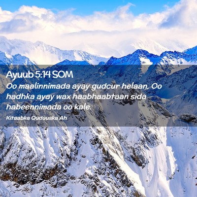 Picture 02 - Ayuub 5:14 SOM - Oo maalinnimada ayay gudcur helaan, Oo hadhka - Bible Verse Picture